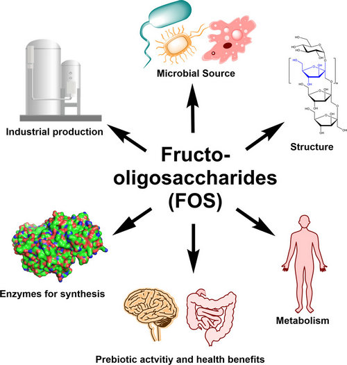 Fructo-oligosaccharide
