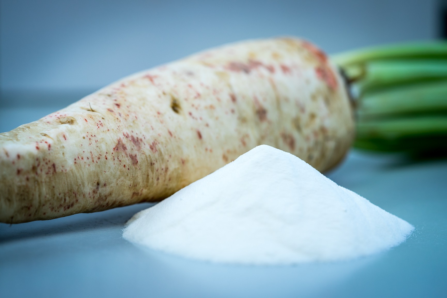 Inuline de chicorée