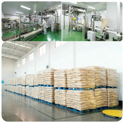 Poudre de fructo-oligosaccharide 95%